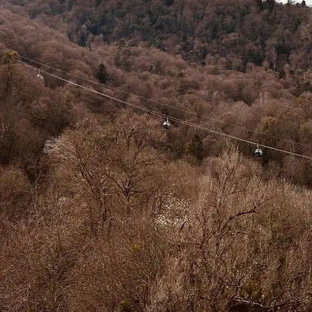 Le Nid Des Bains Apartamento